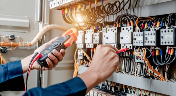 Best Affordable Electrician  in Madison, MN