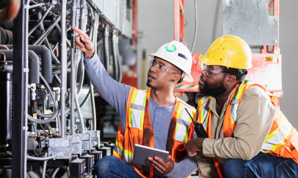 Best 24-Hour Electrician  in Madison, MN